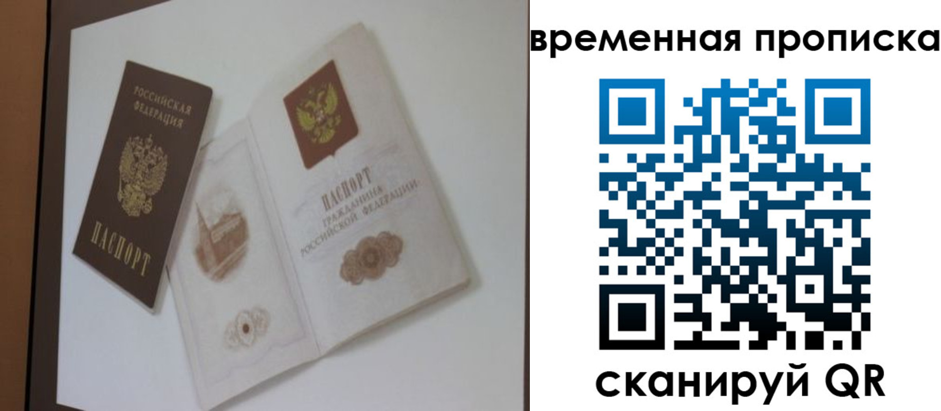 прописка 2025 в Александрове